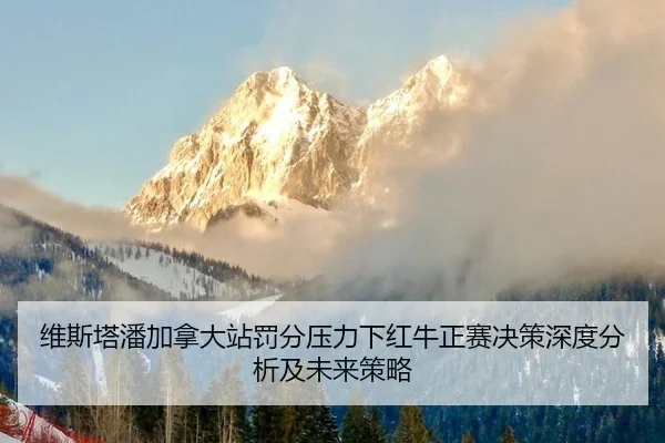 wei-si-ta-pan-jia-na-da-zhan-fa-fen-ya-li-xia-hong-niu-zheng-sai-jue-ce-shen-du-fen-xi-ji-wei-lai-ce-lve-2-610.jpg